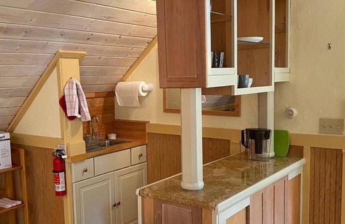 Elk Rapids Apartment | 🧊 The Ice Barn Studio with Stunning Waterfront Views ➠ 407!