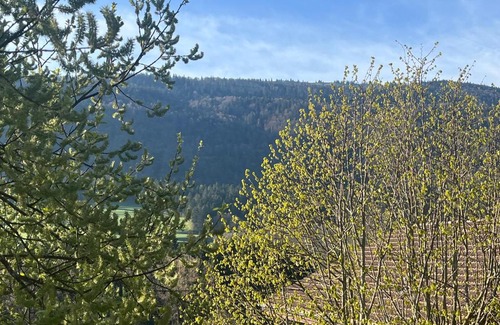 Cormoret Bed & Breakfast | the Jad B&B