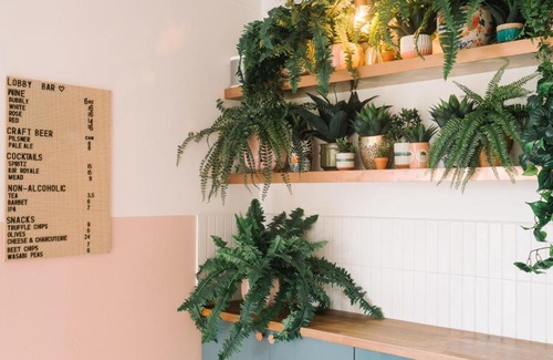 Prince Edward Hotel | The June Motel, Prince Edward County