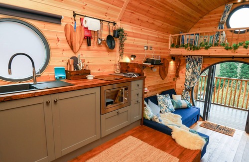 Pont-Rhyd-y-Groes Cottage | THE KITES NEST, pet friendly, with a garden in Pontrhydfendigaid