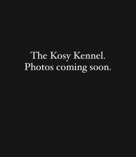 Pukekohe House | The Kosy Kennel