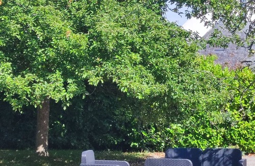 Clohars-Fouesnant House | The little house in the forest