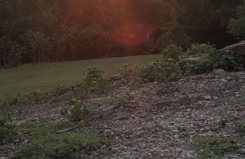 Mountain View Cottage | " The Lodge" Cottage on edge of town w/ Scenic View