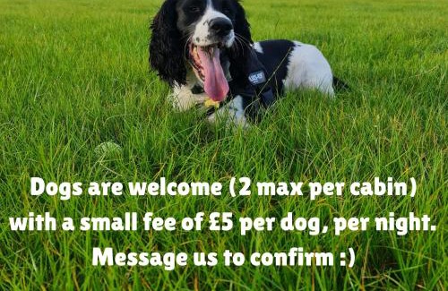 Forres Other | The Loft Glamping & Camping