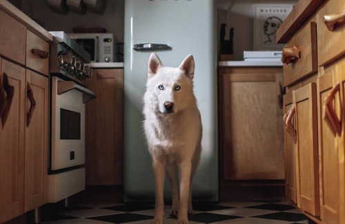 Upper Jay Cabin | The Log Cabin near Whiteface, Hot Tub, Sauna & Swimming Hole