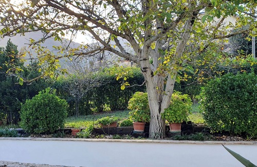 Terni House | The Lover House - A Charming Retreat Between Nature and Relaxation