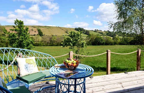 Trecastle Cabin | The Mallard Shepherd's Hut with Hot Tub