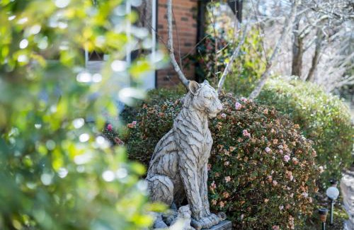 Wentworth Falls House | The Manor in Blue Mountains