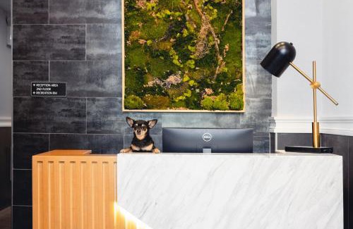 Queens Hotel | The Modernist Hotel