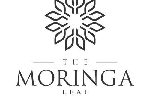 Indore Hotel | The Moringa Leaf