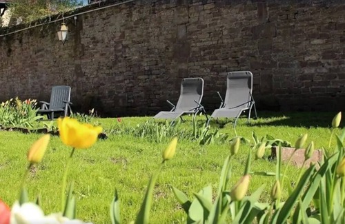 Luxeuil-les-Bains Apartment | The NAPOLEON