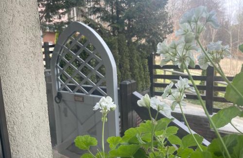 Sinaia Apartment | The Nest