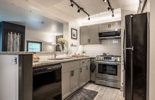 Indianapolis Condo | The Nook Near Broad Ripple/1Bed/1BA Modern Studio