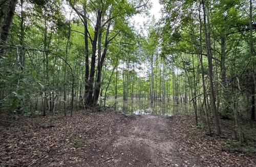 Tallahassee RV Rental | THE ORCHARD disperse primitive site