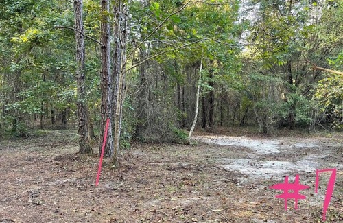 Tallahassee RV Rental | THE ORCHARD disperse primitive site