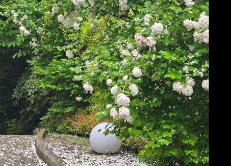 Stresa House | The Ortensia, our Room with Lake View, Spacious Park-Facing Balcony and Private External Bathroom at the Villa Isabella Stresa