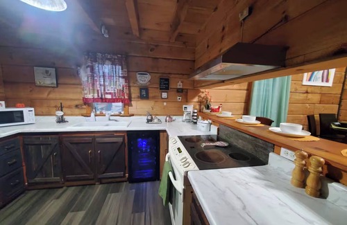 Kodak Cabin | The Outdoor Oasis –You Get $685 Attraction Tickets per paid day