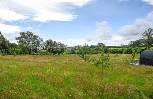 Llanfair Caereinion House | The Owl Pod - Uk50070