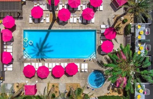 Cathedral City Hotel | The Paloma Resort