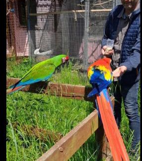 Tappernoje Apartment | The parrot hotel, live in a rescue animal park