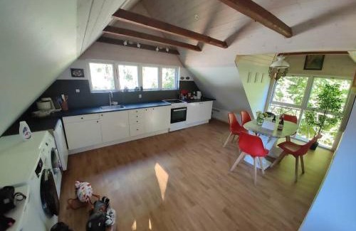 Tappernoje Apartment | The parrot hotel, live in a rescue animal park