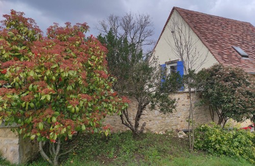 Laval Cottage | The perfect combination of nature, local life and activities.