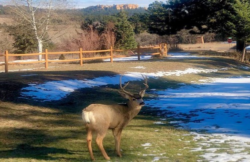 Palmer Lake Cabin | The Pinecrest Lodge at Hilltop Ranch - A hidden