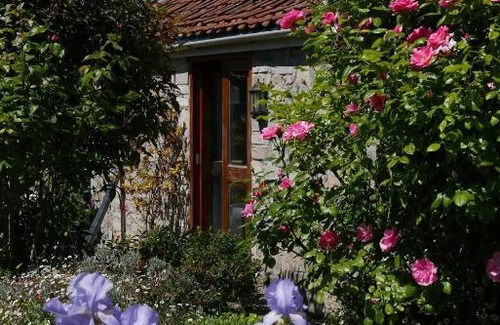 Shapwick Bed & Breakfast | The Potting Shed, self contained, detached retreat in Shapwick village