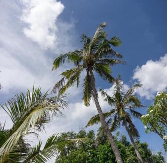 Penida Island Hotel | The Raja Lima hotel