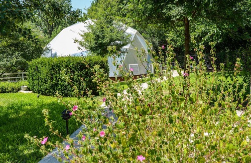 Bastrop House | The RiverHouse Pet Friendly Zen River Retreat