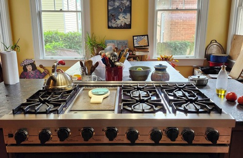 Wilmington Historic District House | The Rosemann-Historic 6-bedroom Downtown Wilmington home with many amenities