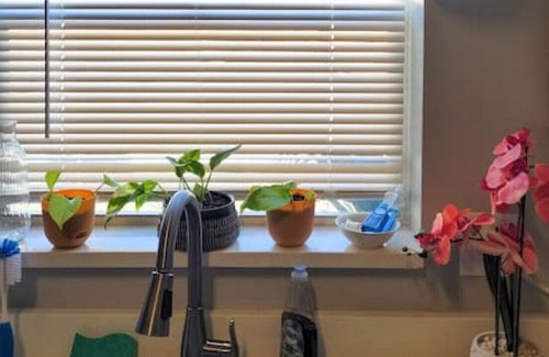 South Pinellas Community Council House | The Sand Piper: 3/2 beachy home, pet friendly