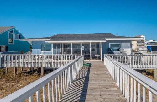 Surf City House | The Shark and the Seahorse