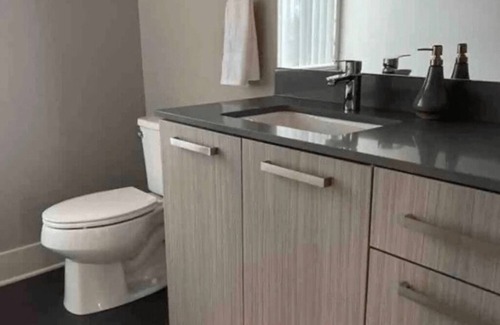 Lansing Apartment | The Skyline Penthouse : Downtown ( Luxury )