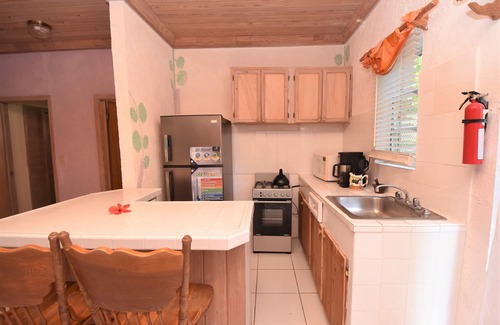 Dunmore Town House | The Sugar Apple Seagrapes with Luxury Garden View