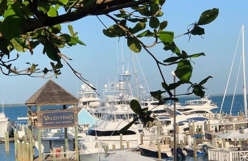Dunmore Town Apartment | The Sugar Apple Studio 3 minute walk to the beautiful Pink Sand Beach