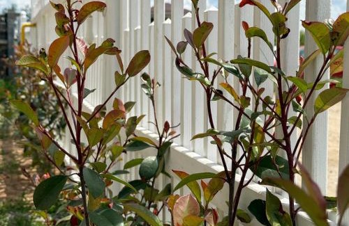 Craiova Villa | The SUN VILLA