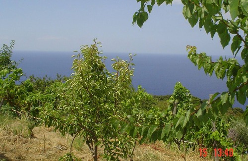 Zanca Other | The terrace overlooking the sea