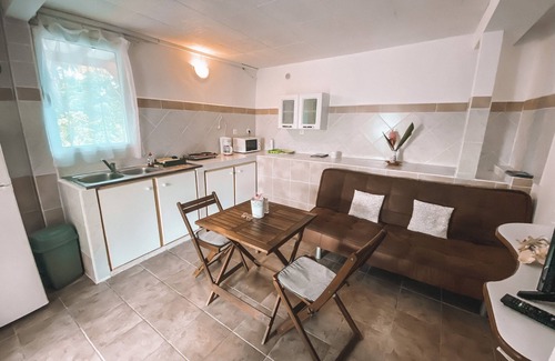 Sainte-Anne House | The tropical garden
