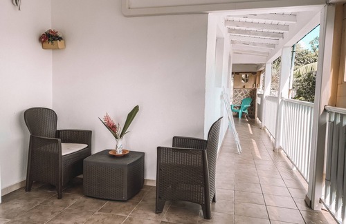 Sainte-Anne House | The tropical garden