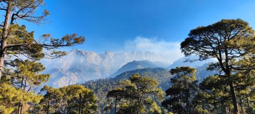 McLeod Ganj Hotel | The Unmad Satovari