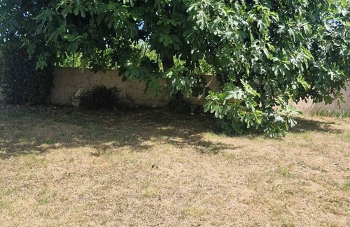 Montsoreau House | The vineyard garden