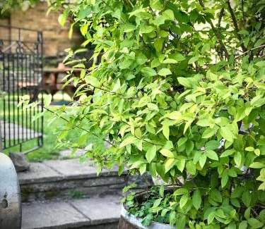 Clun Hotel | The White Horse Inn, Clun