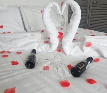 Sandown Hotel | The Wight Bay Hotel - Isle of Wight