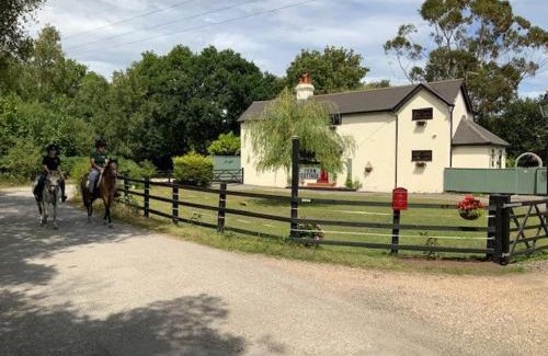 Christchurch House | The Willows - Charming Railway Woodland Cottage with Log Burner