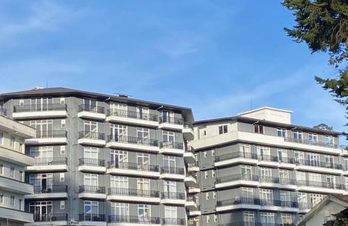 Nuwara Eliya Apartment | THE WIND LILY - Lake View Luxury Apartment