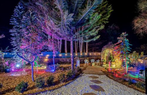 Katoomba House | The Wollemi Smart Palace