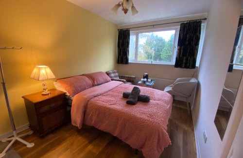 Reading Apartment | The ZX Hotel - Street View - Room 2