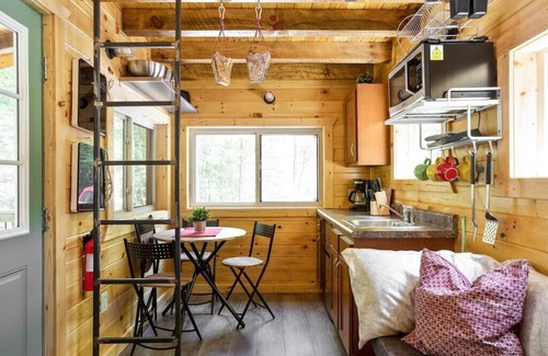 Stanton Apartment | Theodore Tiny Cabin- RRG Hot Tub! Pet Friendly!