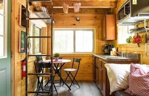 Stanton Apartment | Theodore Tiny Cabin- RRG Hot Tub! Pet Friendly!